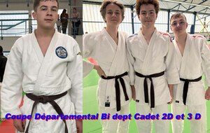 Direction Épinal pour les championnats bi-départementaux de judo
