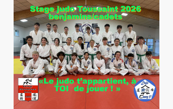 Stage de judo à Ennery : deux jours pour progresser, partager et créer son judo !